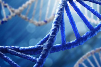γονιδιακή έλικα DNA