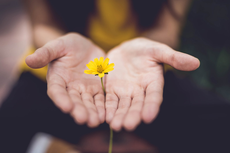 χέρια κρατούν ένα λουλούδι ως σημάδι ψυχικής ανθεκτικότητας