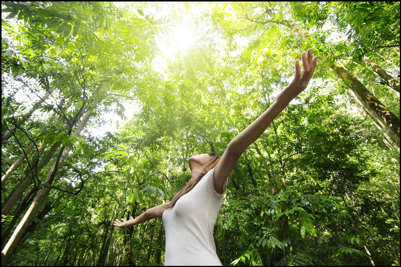 γυναίκα κοιτά ψηλά ανοίγοντας τα χέρια της μέσα στο δάσος 