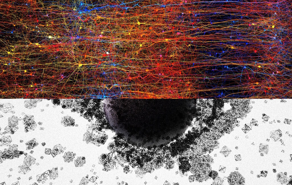εγκεφαλικοί νευρώνες και δίκτυα