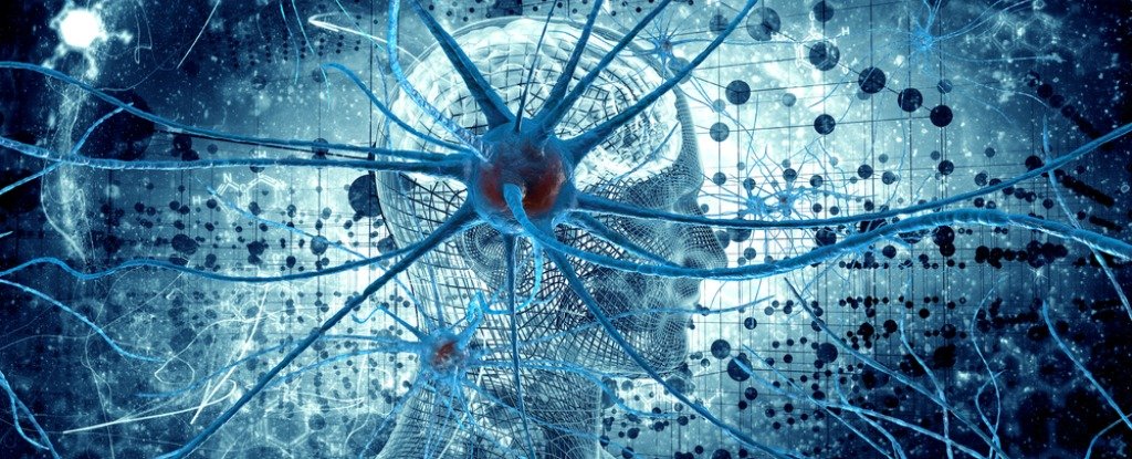 ανθρώπινος εγκέφαλος με νευρώνες σε πρώτο φόντο δίνει έμφαση στην συνείδηση