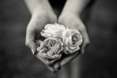 δυο χέρια που κρατούν τριαντάφυλλα