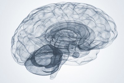 ασπρόμαυρο σκίτσο του εγκεφάλου με λεπτές γραμμές