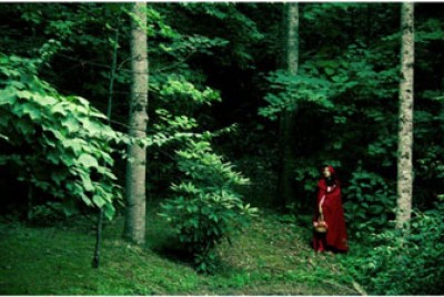 η κοκκινοσκουφίτσα στο δάσος