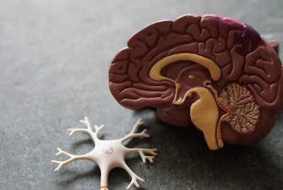 εγκέφαλος με ενδείξεις εγκεφαλικής βλάβης σε ασθενείς με COVID-19