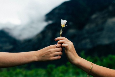 χέρι ανθρώπου δίνει ένα λουλούδι σε κοπέλα και δείχνει πως  η συγχωρητικότητα ενισχύει την ψυχική υγεία
