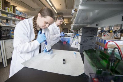 ερευνητές διεξάγουν έρευνες σε εργαστήριο