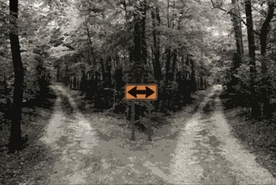 πινακίδα μέσα στο δάσος που δείχνει δύο επιλογές
