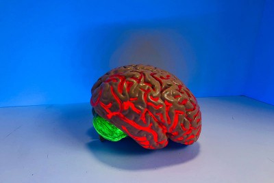 φωτισμένος εγκέφαλος απεικονίζει νέα βήματα από Ελληνες επιστήμονες για πιο εξατομικευμένες θεραπείες στη σχιζοφρένεια