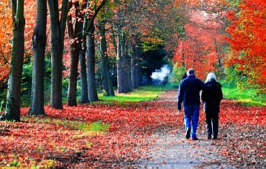 ζευγάρι περπατάει σε ένα μονοπάτι το φθινόπωρο