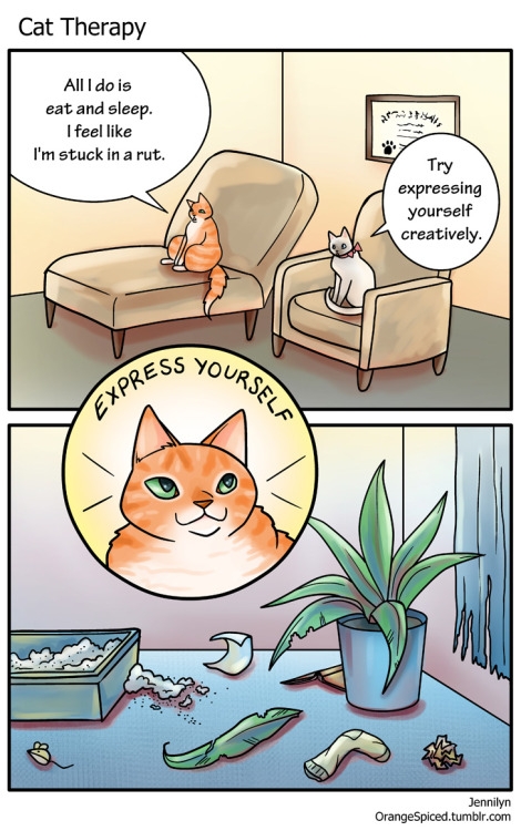cat therapy