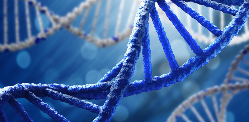 γονιδιακή έλικα DNA