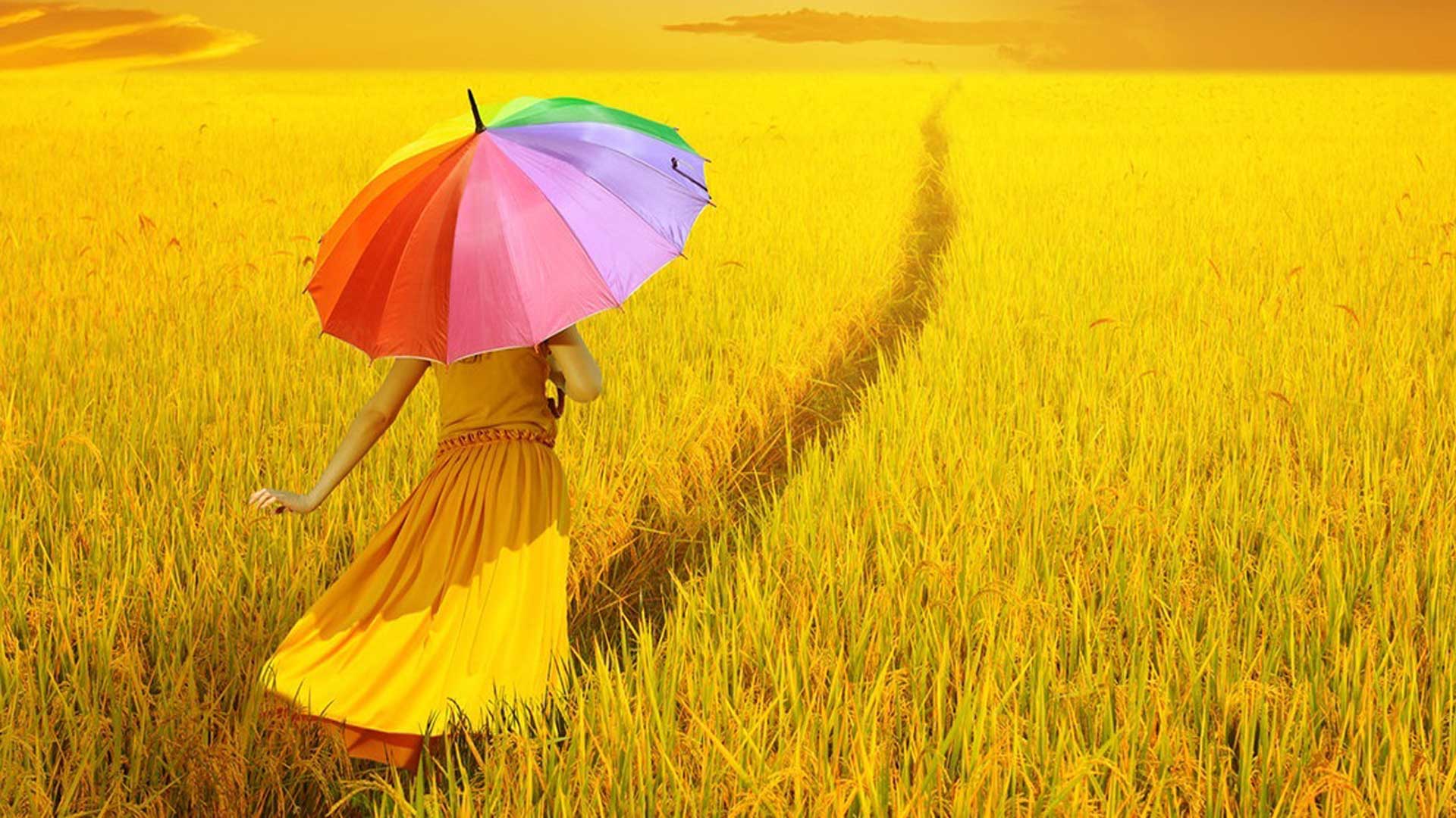 γυναικεία φιγούρα που τρέχει σε ένα χρυσό χωράφι κρατώντας μια πολύχρωμη ομπρέλα ζει μια ακατάλληλη στιγμή για να ξεκινήσει ψυχοθεραπεία
