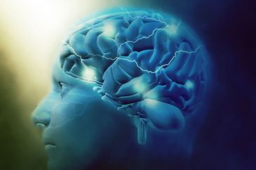 Ερευνητές εξερευνούν το αισθητηριακό δίκτυο του εγκεφάλου για να κατανοήσουν πώς ο εγκέφαλος αντιλαμβάνεται την απειλή