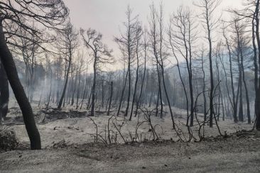 Βόρεια Εύβοια: Βαρύτατες οι επιπτώσεις των πυρκαγιών στην ψυχική υγεία των κατοίκων