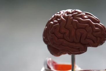 Αποκαλύφθηκαν βασικές διαφορές στον εγκέφαλο αγοριών και κοριτσιών με επεισοδιακή υπερφαγία