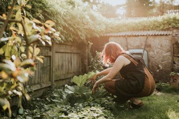Η κηπουρική συμβάλλει στη μείωση του κινδύνου καρκίνου και στην ενίσχυση της ψυχικής υγείας