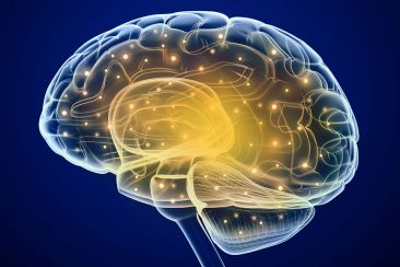 Ασυνείδητο και πλαστικότητα του εγκεφάλου: γέφυρες μεταξύ νευροεπιστήμης και ψυχανάλυσης