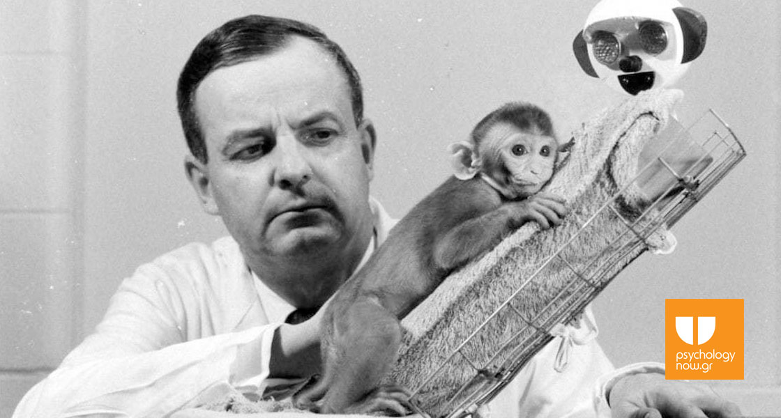 εικόνα από το πείραμα με τις μαϊμούδες του Harlow
