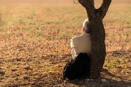 άντρας κάθεται με την πλάτη του σε ένα δέντρο
