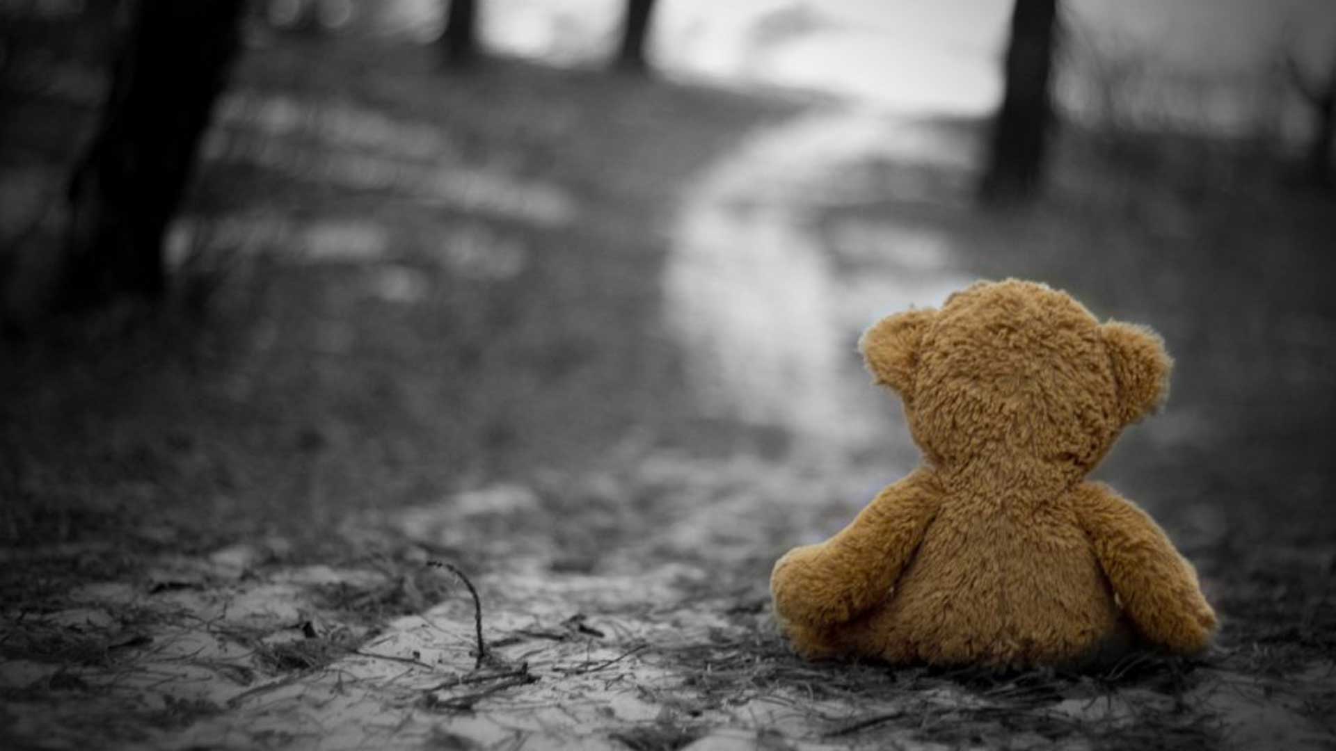 ένα λούτρινο αρκουδάκι στη μέση ενός λασπωμένου δρόμου μια εικόνα ένα γράμμα σε έναν γονιό που έχει χάσει το παιδί του